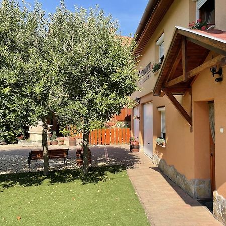 Rozmann Family Panzio & Apartmanhaz Sárvár Extérieur photo